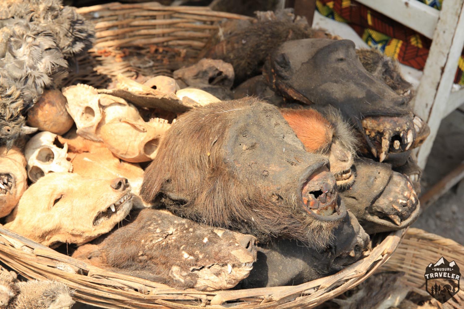 Voodoo market of Benin - Unusual Traveler