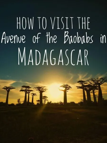 Travel guide to Avenue of the Baobabs is one of the most famous landmarks in Africa, how to visit this famous place in Madagascar.