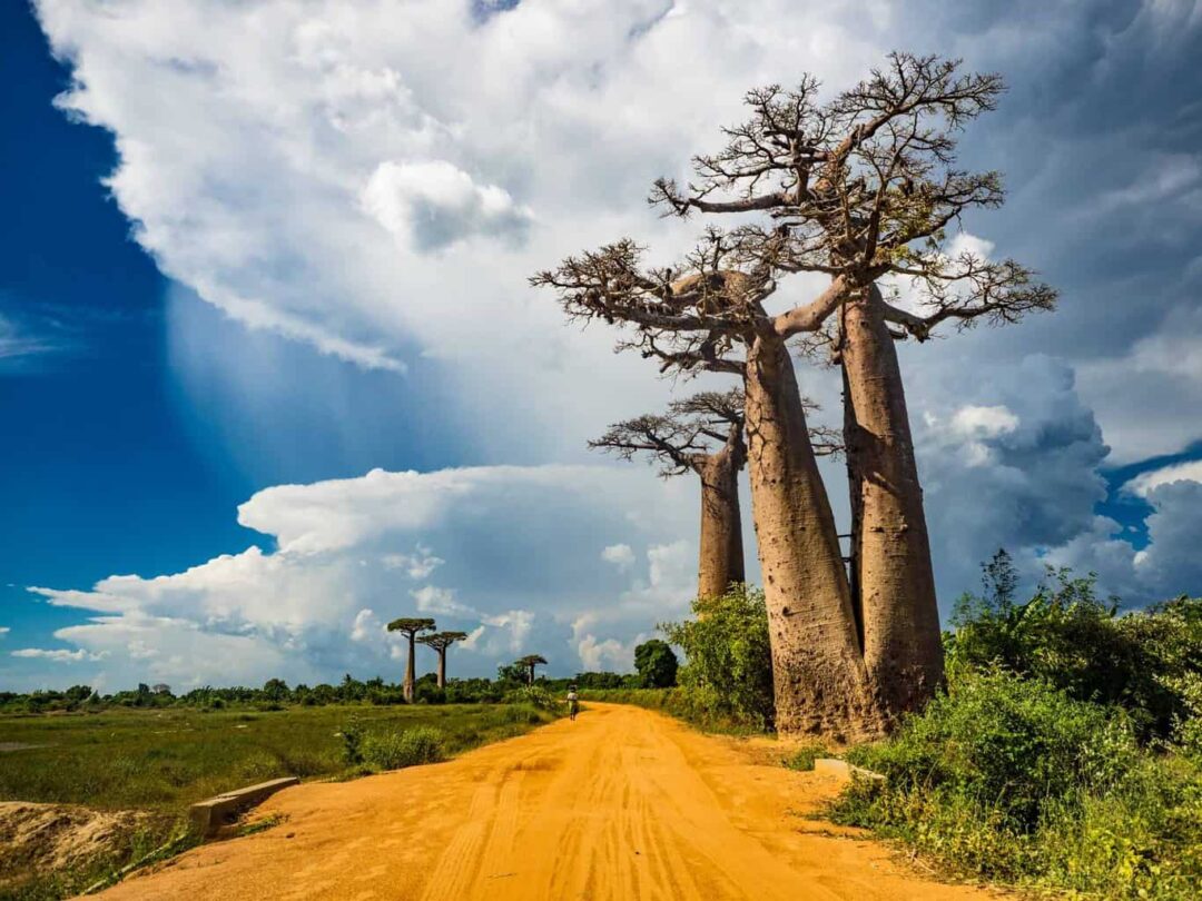 travel to madagascar from us