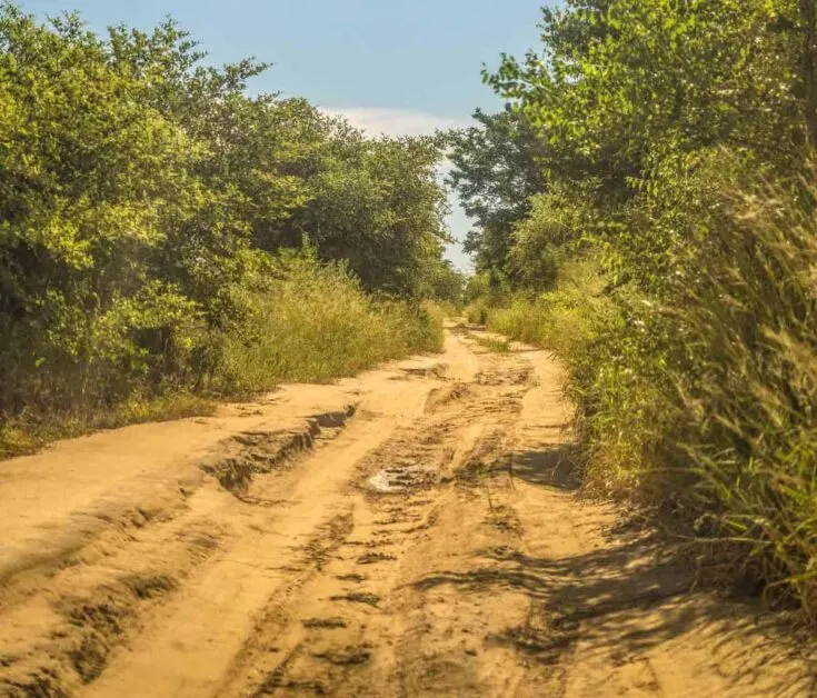 road madagascar