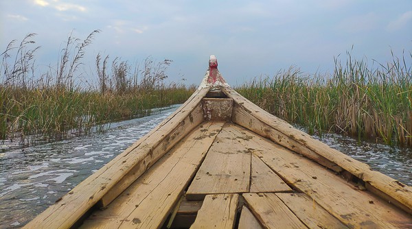 Traveling around the Mesopotamian Marshes iraq