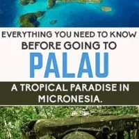 Everything you need to know before going to Palau the small nation in Micronesia