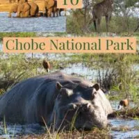 Chobe National Park is Botswana’s third-largest national park one of the best parks in Africa