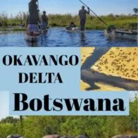 Travel Guide to Okavango Delta safari in Botswana