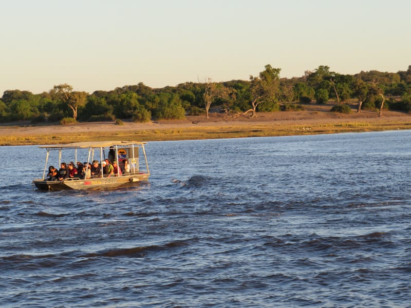 you can also go on safari down the river with a boat in chobe national park africa bostwana you can also go on safari down the river with a boat Botswana