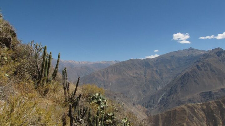 Cola Canyon Peru South America
