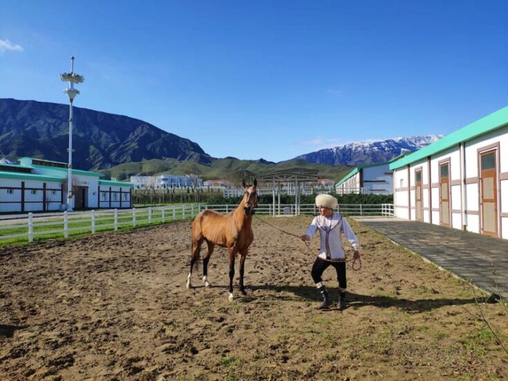 turkmenistan horse