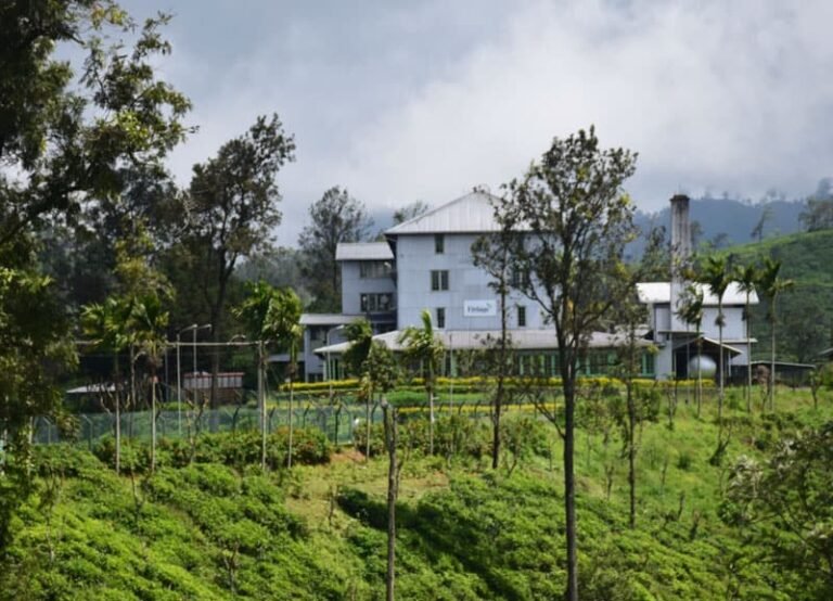 The Ultimate Guide to Ella, Sri Lanka Unusual Traveler