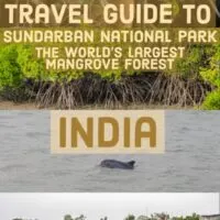 Guide to Sundarbans National Park home to the world´s largest Mangroove forest, diver dolphins and the Royal Bengal Tiger. In east india on the border with Bangladesh.