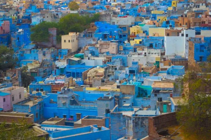 Blue houses in Jodhpur in India