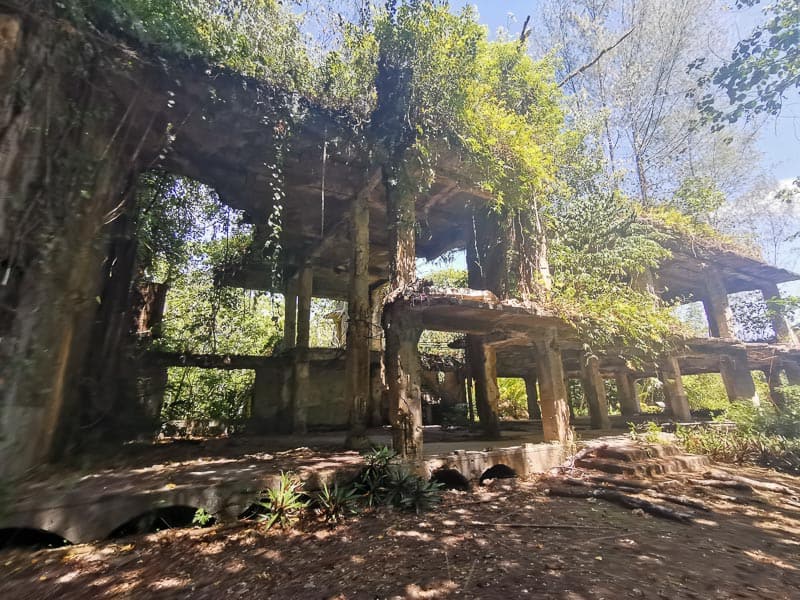 Peleliu Island When A South Pacific Paradise Island Became Hell On Earth During WW2. Unusual