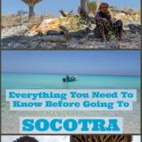Travel Guide To Socotra the small island out in the Arabic sea which belongs to Yemen.