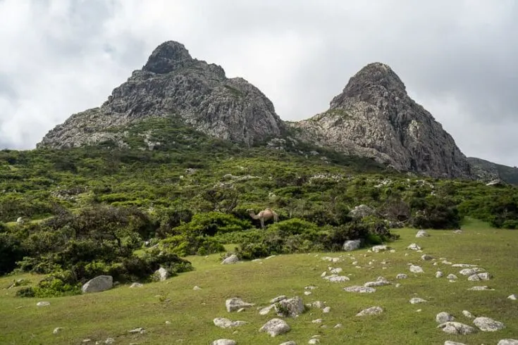 Hajhir Mountains Socotra yemen