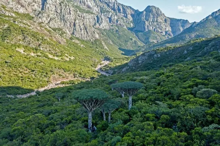 Durhur Canyon Socotra Yemen