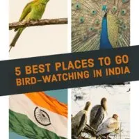 5 Bird Watching Sites across India You Must Visit