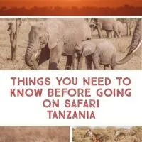 A Complete Guide to Safari in Tanzania