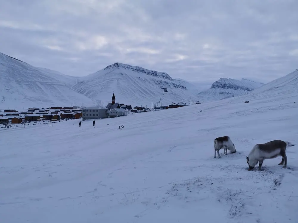 Reinders just outside Longyearbyen