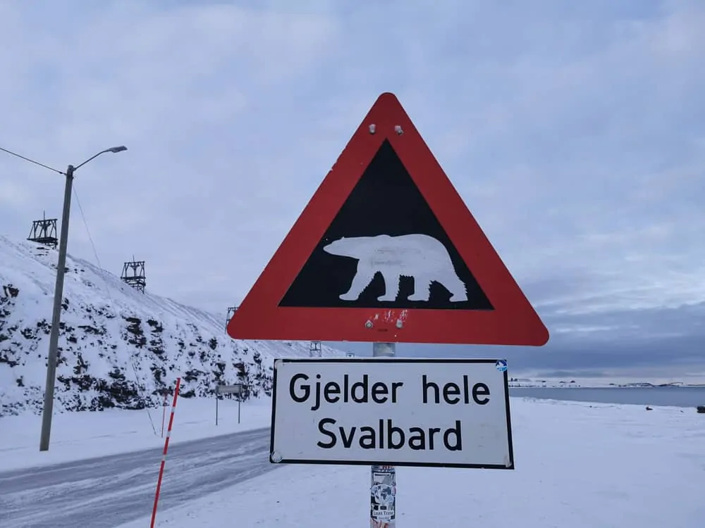 Polar bear sign longyearbyen svalbard