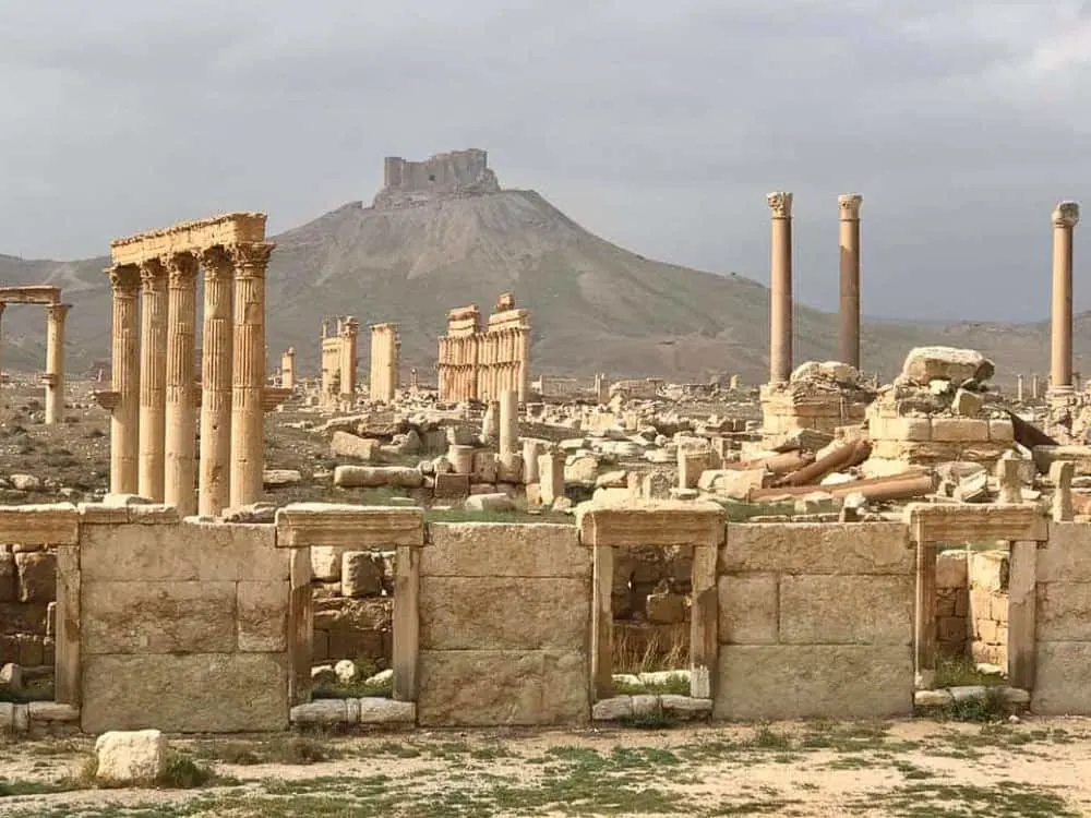 Palmyra syria