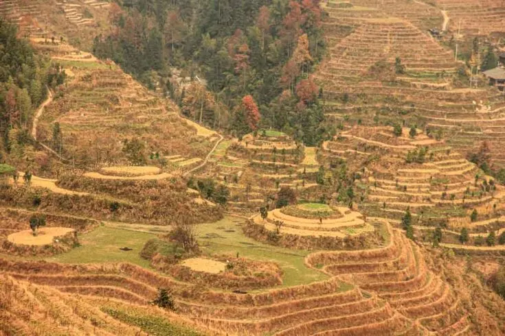 Longsheng/Longji Rice Terraces dragon´s backbone china