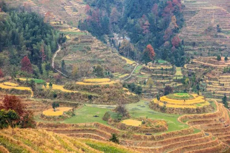 Longsheng/Longji Rice Terraces China