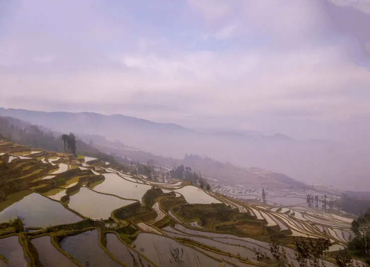 Yuanyang Rice Terraces