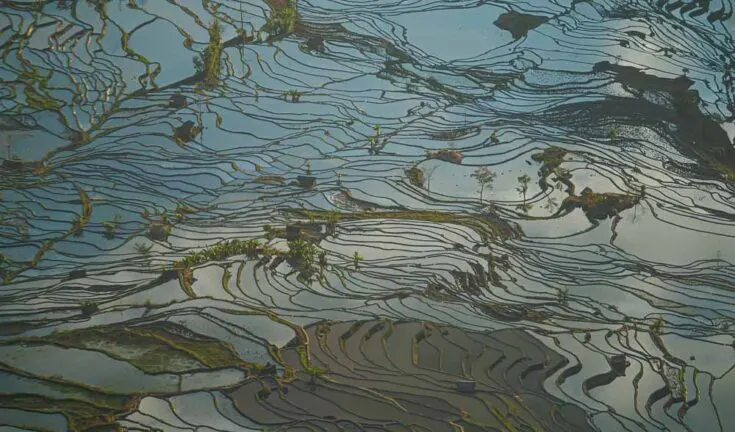 Laohuzui Rice Terraces