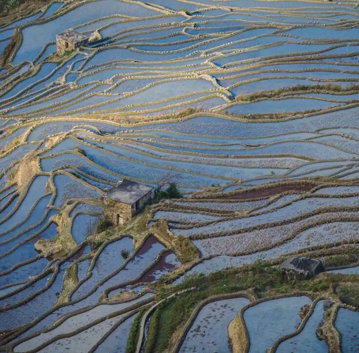 Yuanyang Rice Terraces in Yunnan China