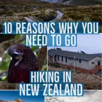 Why you need to go Hiking in New Zealand