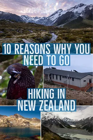Why you need to go Hiking in New Zealand