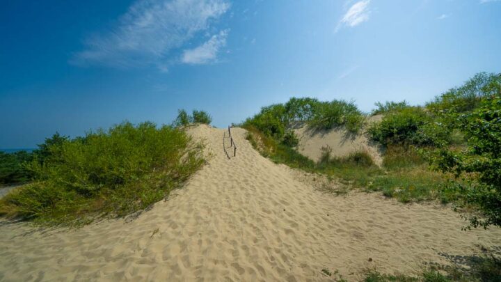 Pardanis Dune Curonian Spit Lithuania