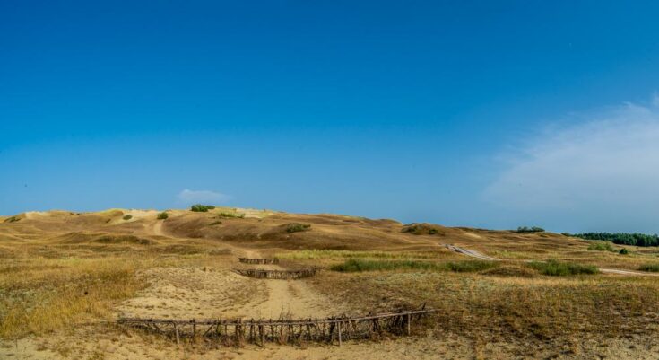 Nagliai Nature Reserve / The Dead Dunes lithuania