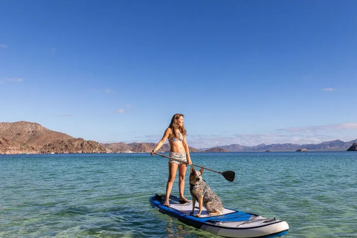paddle boarding with dog in Mexico