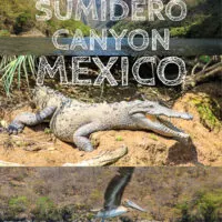 Travel Guide to Sumidero Canyon in Chiapas, Mexico