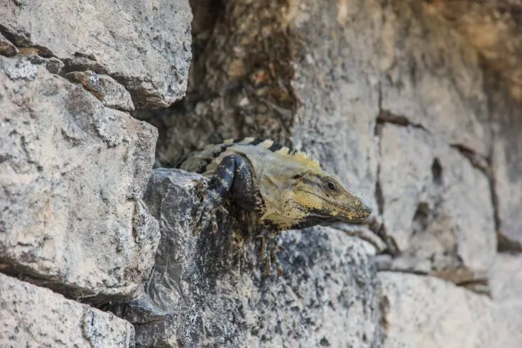 Chichen Itza mexico