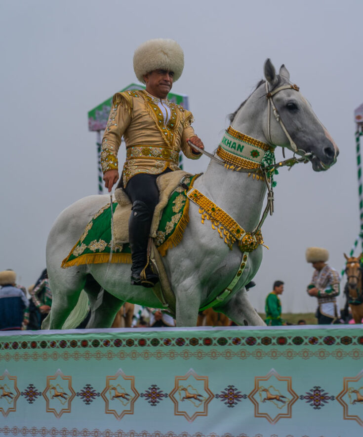 Turkmenistan Akhal-Teke horse
