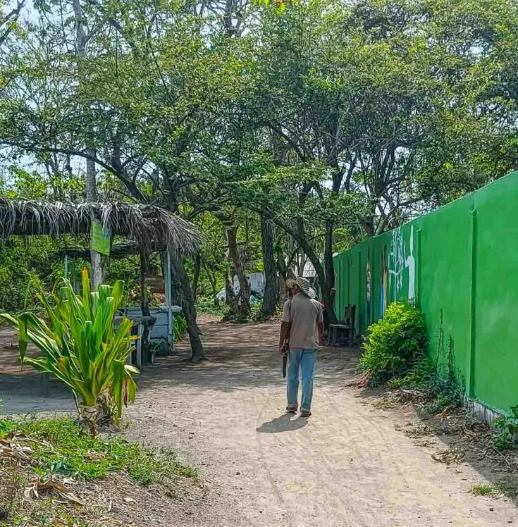 isla grande walking colomnia