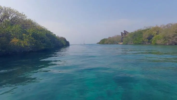 Mangroves isla grande cartagena